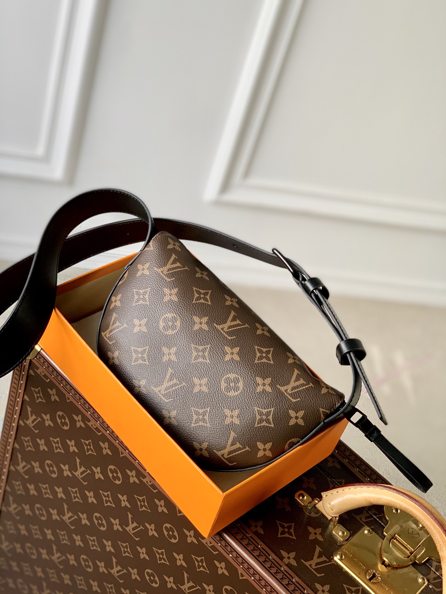 LV Satchel bags